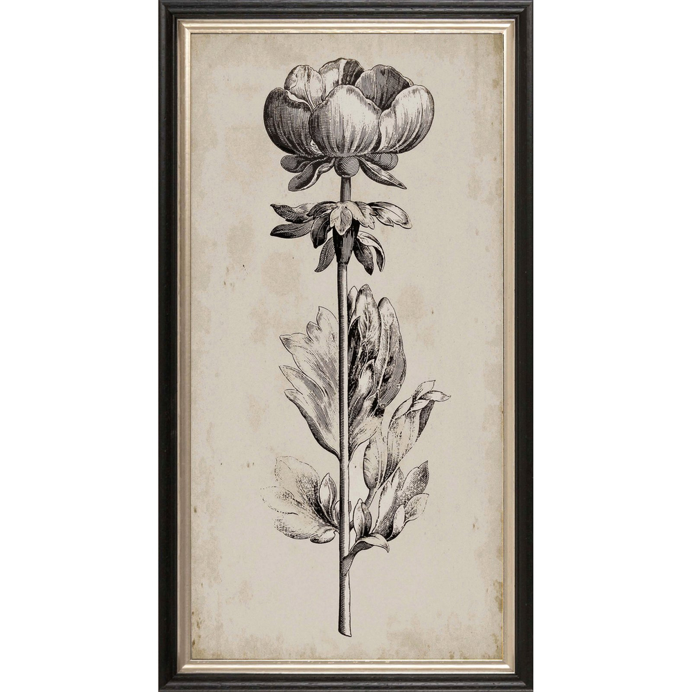 Постер 30х60 G&C Beauty 5