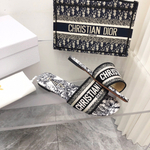 Christian Dior Dway Slide