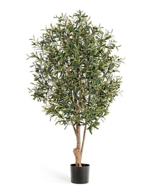 Олива Твист с плодами в-110 см 2/2 10.28204N