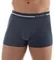Мужские термошорты BRUBECK Comfort Wool BX10550