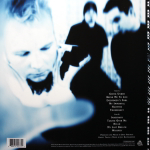 Evanescence / Fallen (Clear Vinyl)(LP)