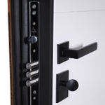 Стальная дверь "Денвер" (адаптивная замковая часть). Заказная модель.