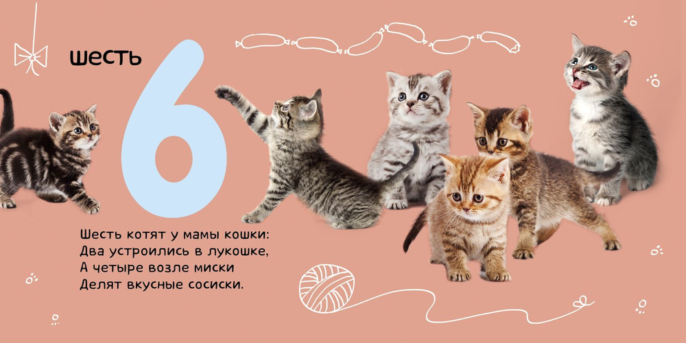 Я учу числа. Фотокнига