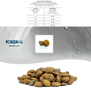 Сухой корм Forza 10 Intestinal Active для кошек при проблемах пищеварения с рыбой