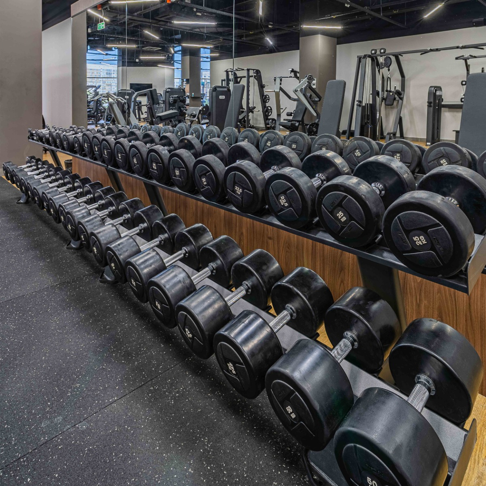 Гантельный ряд силовой (шаг 2,5 кг, 10 пар) PROFI-FIT 2,5-25 кг