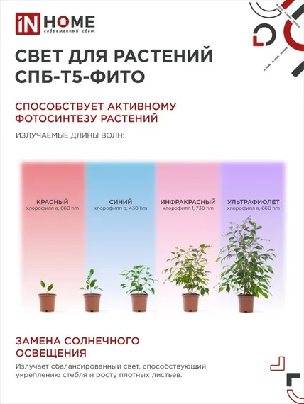 Светильник светодиодный СПБ-Т5 STD-ФИТО красно-синий спектр 10Вт 600мм IN HOME