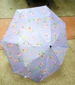 Зонт складной женский NL-031