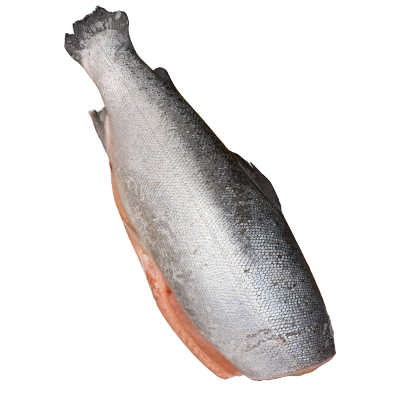 Форель охлажденная тушка 5.5/6.5, б/г