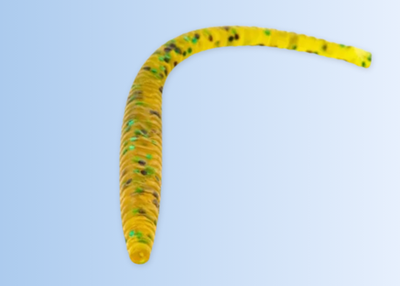 Wiggler Worm