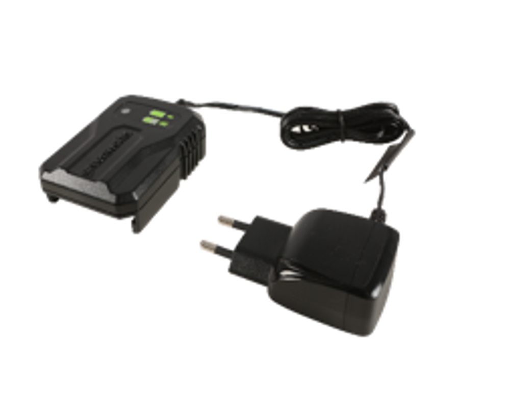 Зарядное устройство Greenworks G24UC2, 2946207,24v (слайдер 2А)