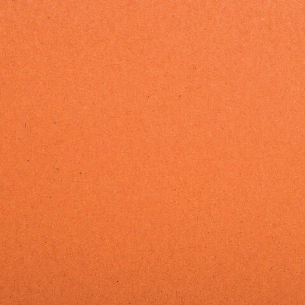 Альбом для пастели, картон "ТЕРРАКОТА" тонированный 630 г/м2, 207x297 мм, 10 л., BRAUBERG CLASSIC, 105922