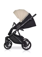 Коляска DELTA ECCO (2 в 1) (RIKO BASIC)