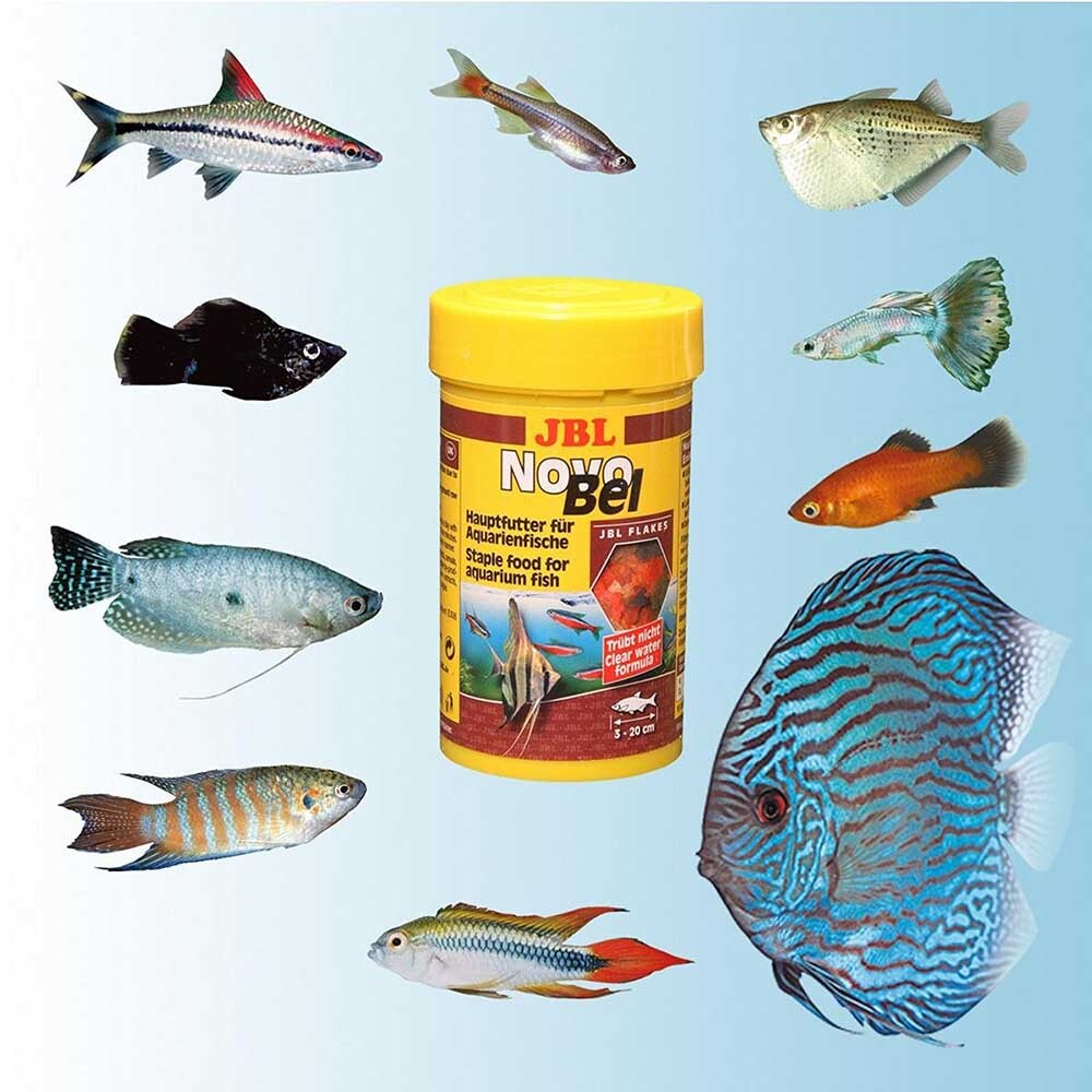 JBL NanoBel 60 мл - основной корм для маленький рыб для нано аквариумов (хлопья)
