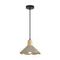 Подвес Lumion EOLIANA 8351/1A