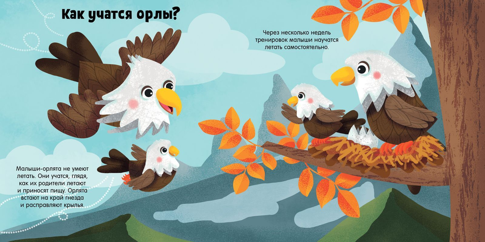 Животные и их малыши. Пора учиться!