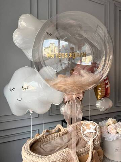 Выписка из роддома ДЕВОЧКА 027