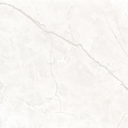 Connect Pearl Керамогранит светло-серый SG624920R 60х60 матовый