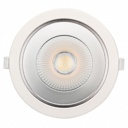 Встраиваемый светильник Arlight Ltd-Legend LTD-LEGEND-R115-10W White6000 (WH, 50 deg)