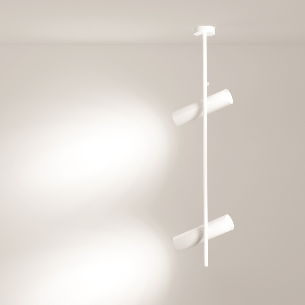 Потолочный светильник Technical C021CL-02W