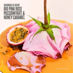 Sol de Janeiro Rosa Charmosa Dewy Cream 240mL