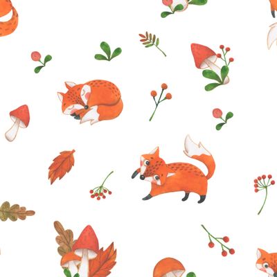 Лисички на белом