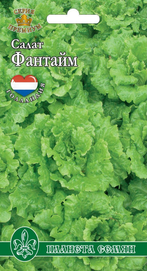 Салат Фантайм