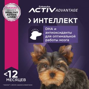 Корм для щенков миниатюрных пород, Eukanuba Dog TOY PUPPY