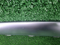 Накладка перед бампера Mercedes GLS x167 19-24 AMG