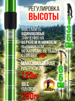 Палки для трекинга, скандинавский ходьбы/ телескопические Carbon pole EVA grip /2 шт, цвет черный