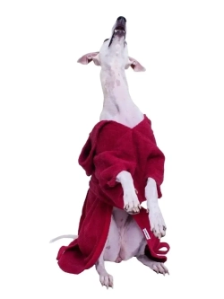 Халат для собак махровый полотенце для животных