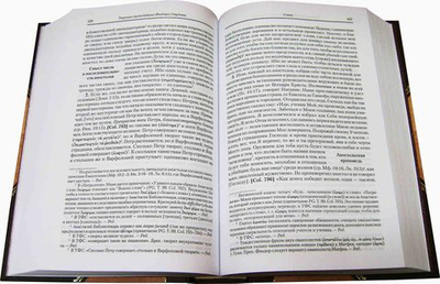 Преподобный Феодор Студит. Творения. Том 2 (книга 6 Полного Собрания Сочинений)