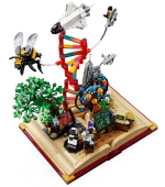 Конструктор LEGO Ideas 21355 Эволюция STEM
