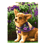 Картина по номерам 30*40см "Милый корги" (на подрам.) (Lori)