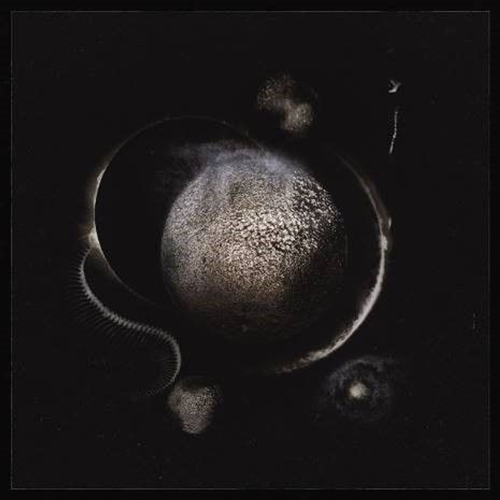 ENTHRONED Cold Black Suns 2019, black metal, лицензия, музыкальный компакт диск