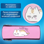 Пенал BRAUBERG 3 отделения нейлон 21х7х7 см "Lazy cat" (2 штуки в упаковке)