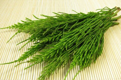 Хвощ полевой трава 20 гр для свечей, творчества и ритуалов