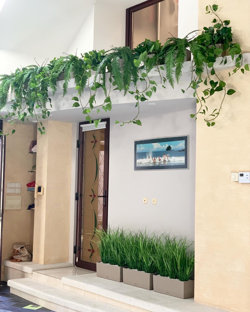 20.09. Озеленение фриза искусственными растениями .