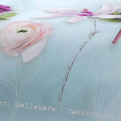 Постельное белье семейное Tivolyo home Floris