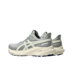 Женские кроссовки ASICS GT-2000 13 ATC 'Seal Grey Brich' 1012B810-020