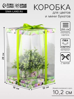 Коробка PVC, для цветов и букетов, с лентой, 28×18×18 см, зеленый