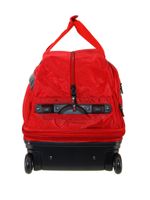 Сумка дорожная 245