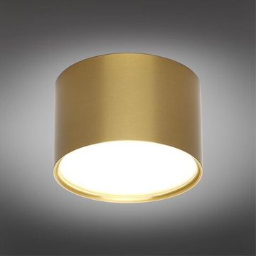 Светильник встраиваемый-накладной OML-103329-06