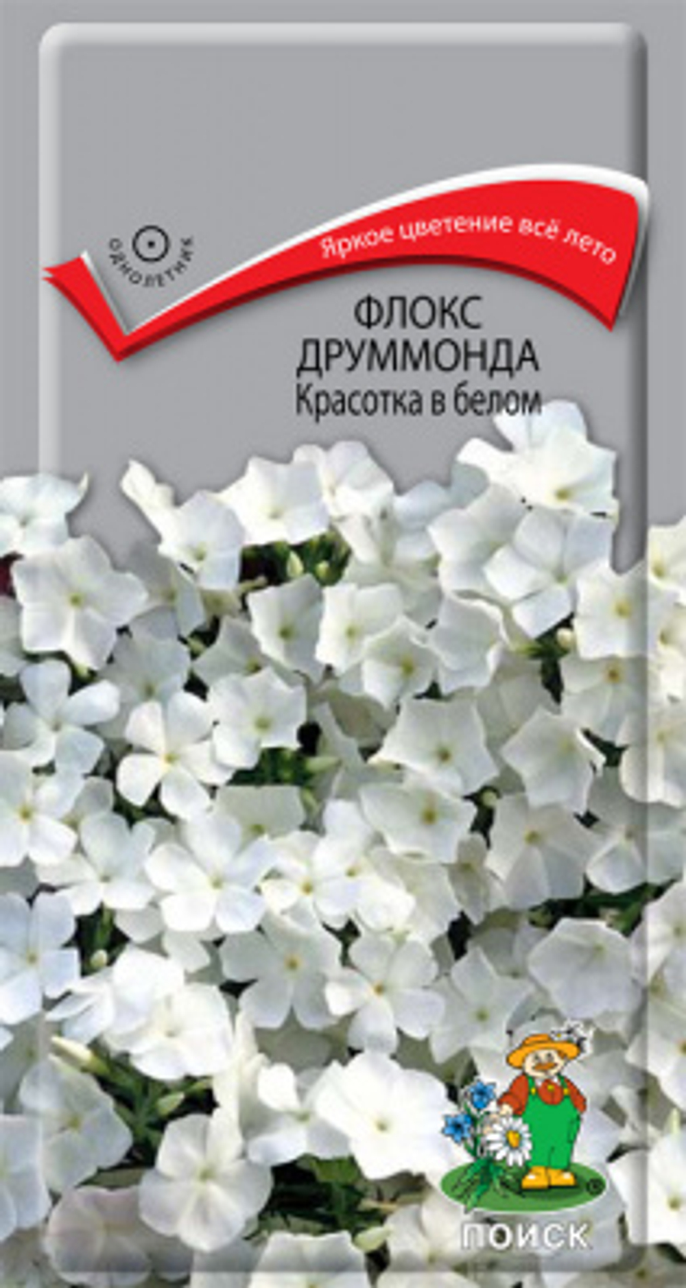 Флокс Красотка в белом друмм. 0,1г Ц Поиск