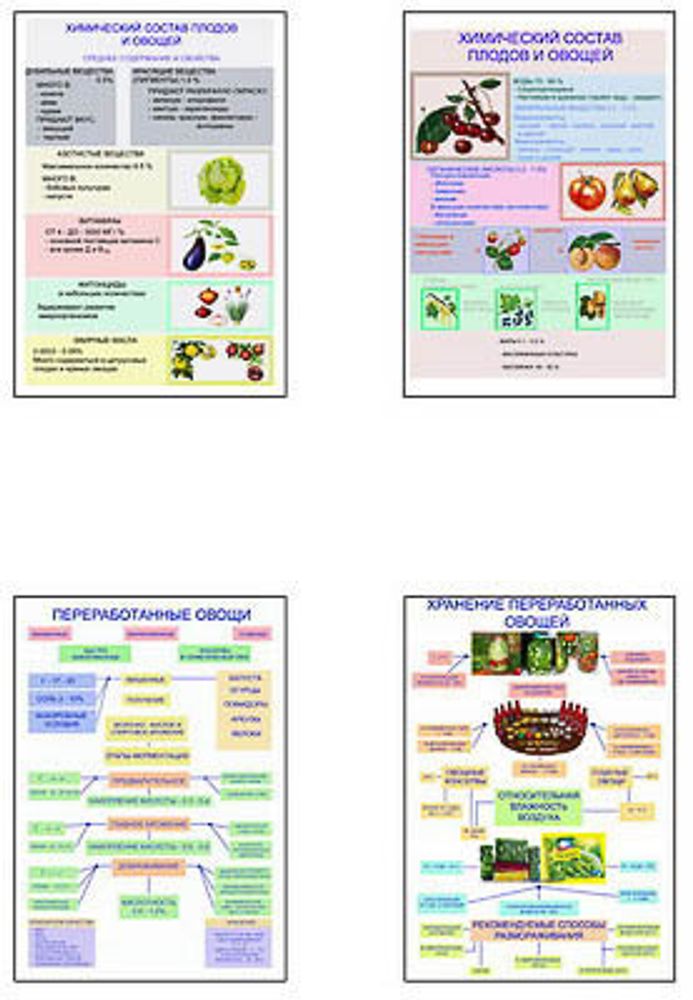Плакаты ПРОФТЕХ &quot;Классификация овощей и переработка&quot; (8 пл, винил, 70х100)
