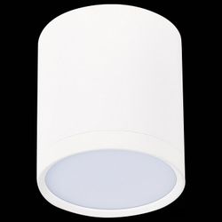 Накладной светильник ST-Luce Rene ST113.532.05