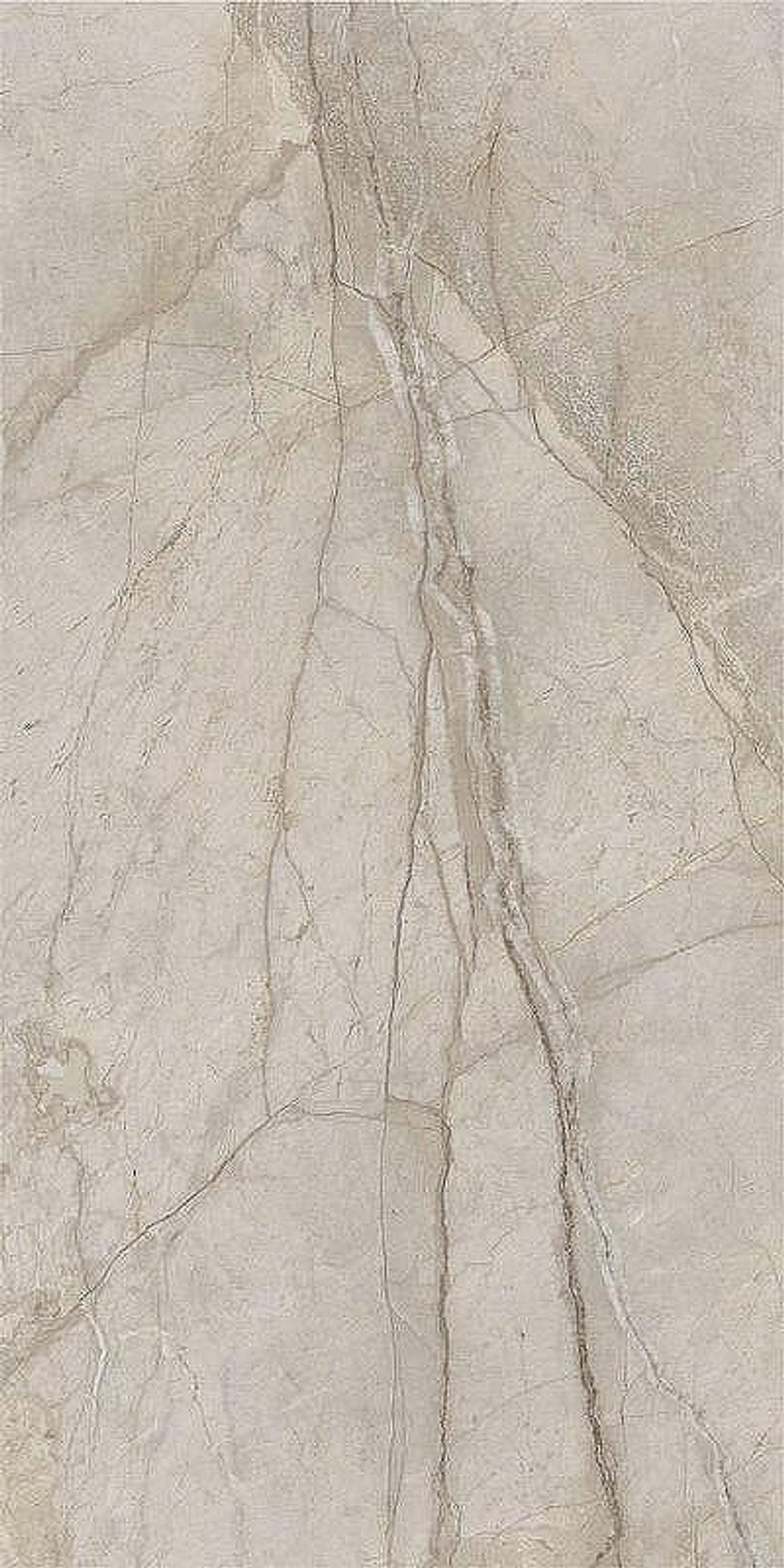 Керамогранит Italon Stellaris Elegant Silver рет 610010002835 60х120 см