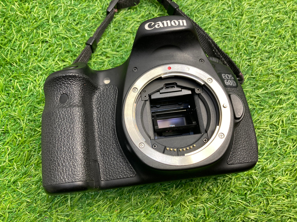 Canon EOS 60D (34.600 кадров)