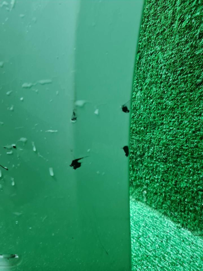 20241112_102932.JPG