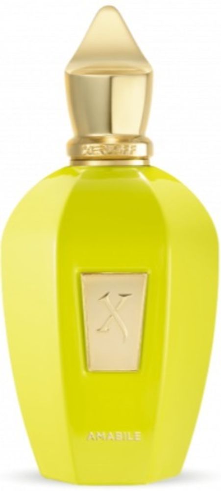 Xerjoff Amabile 100 ml