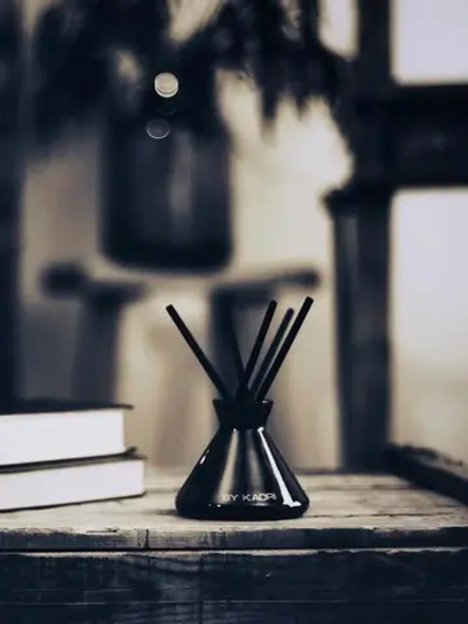 Диффузор SOHO